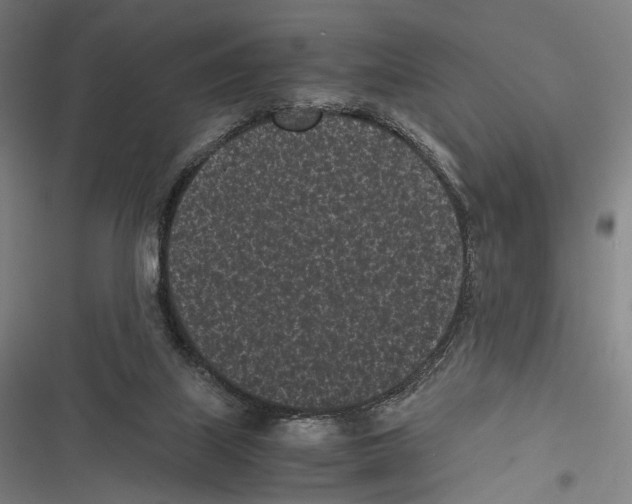 X0000116600067201001081158