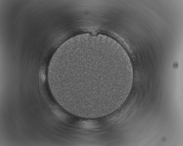 X0000116600069201001081158