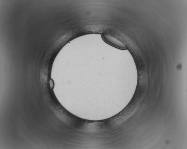 X0000116600072201001081158