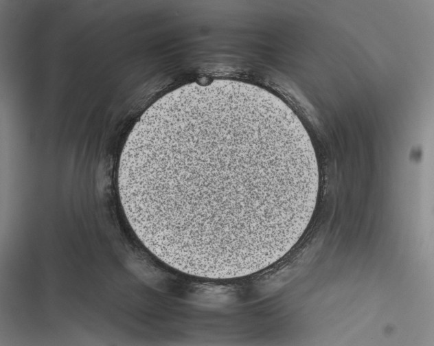 X0000116600073201001081158