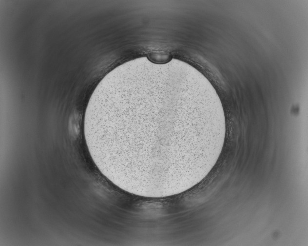 X0000116600075201001081158