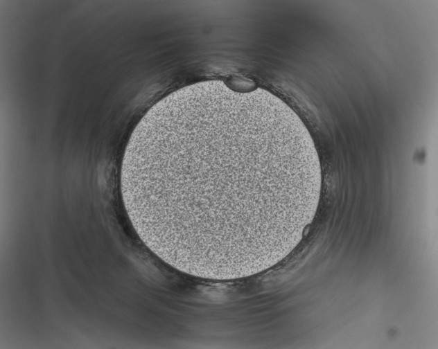 X0000116600079201001081159
