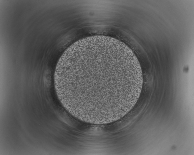 X0000116600080201001081159