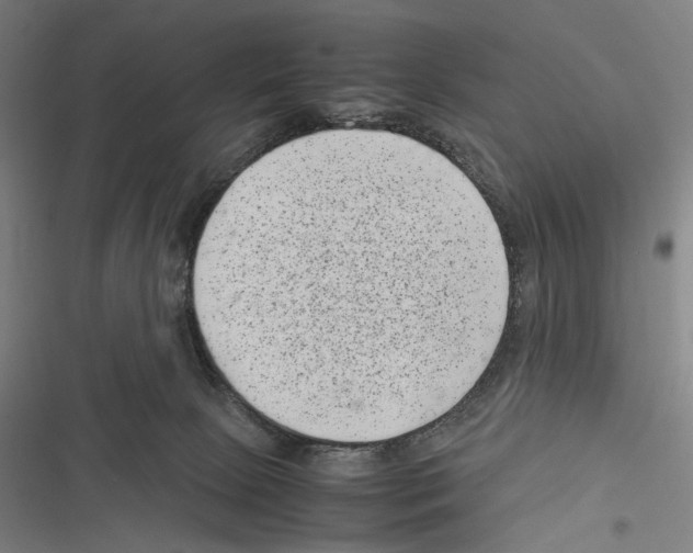 X0000116600081201001081159