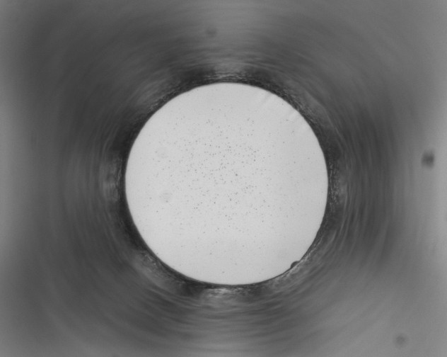X0000116600082201001081159