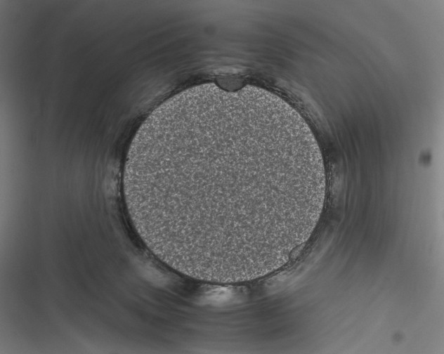 X0000116600083201001081159