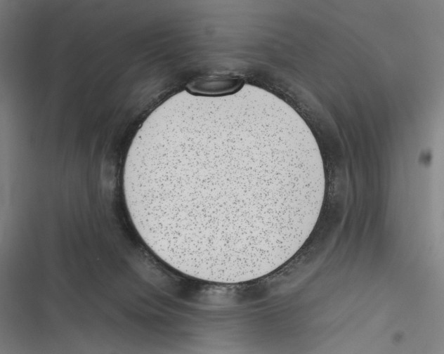 X0000116600084201001081159