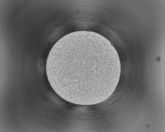 X0000116600086201001081159