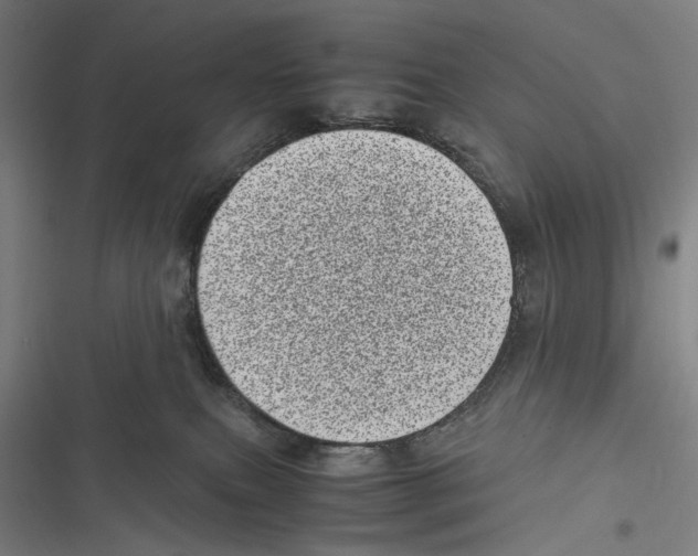 X0000116600087201001081159