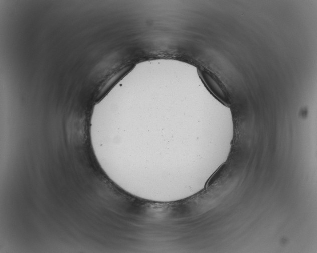 X0000116600088201001081159