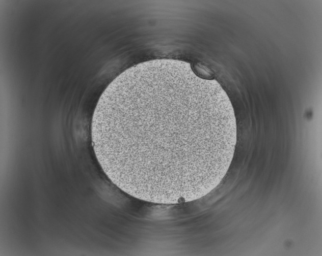 X0000116600090201001081159