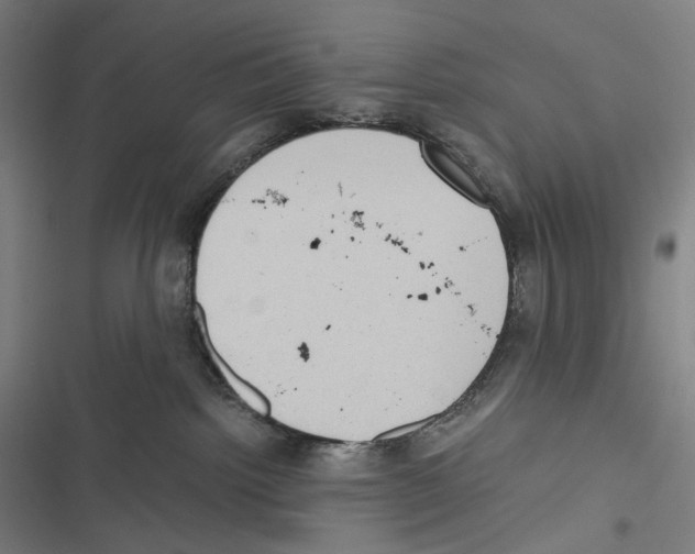 X0000116600092201001081159