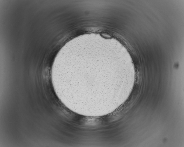 X0000116600093201001081159