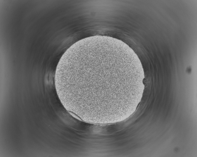 X0000116600094201001081159