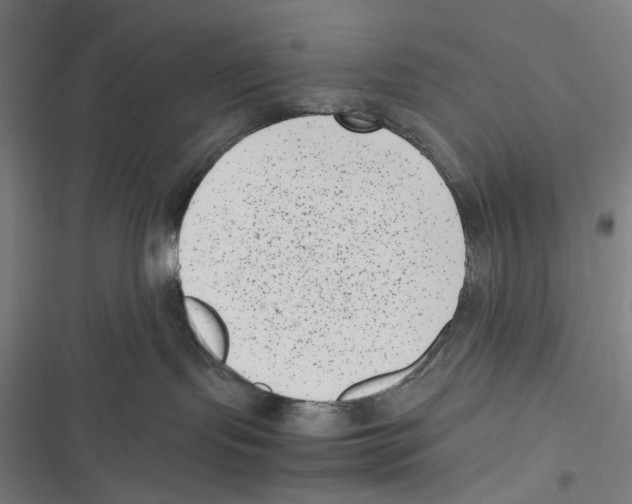 X0000116600095201001081159