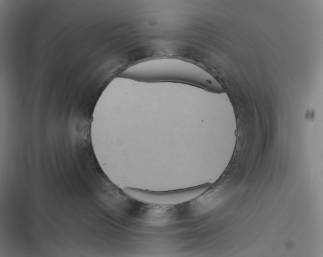 X0000116600096201001081159