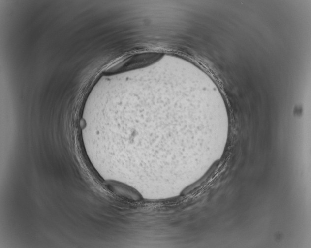 X0000116600097201001081158