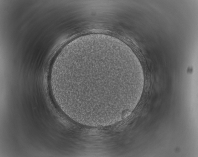 X0000116600098201001081158
