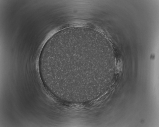 X0000116600099201001081158