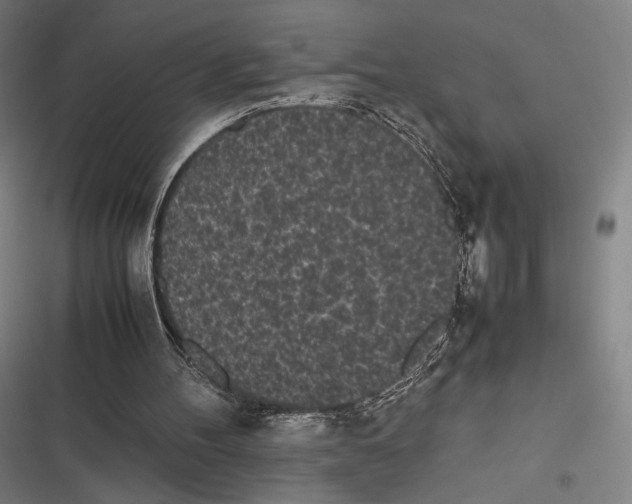 X0000116600100201001081158