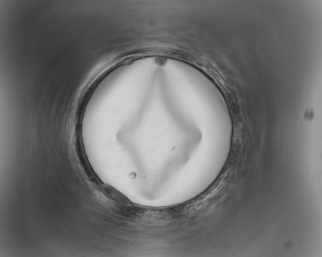 X0000116600101201001081158