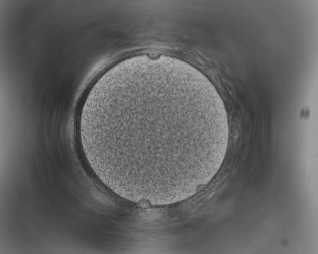 X0000116600102201001081158