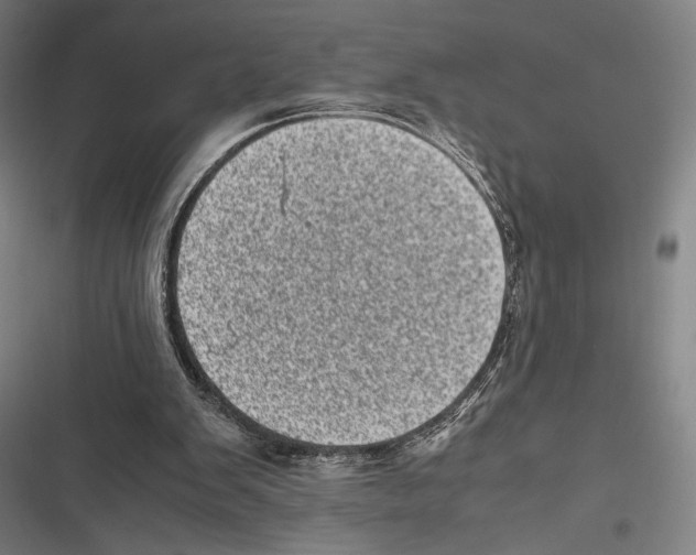 X0000116600103201001081158