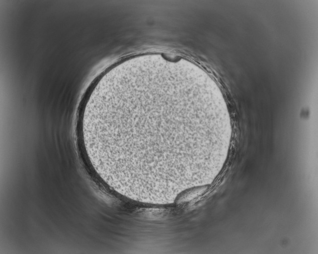 X0000116600104201001081158