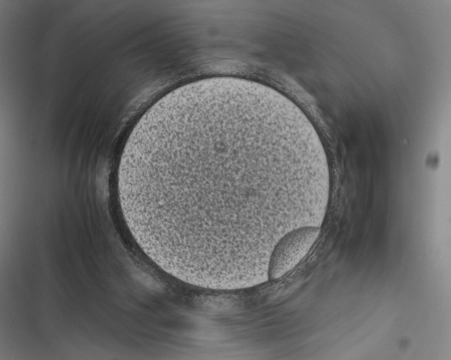 X0000116600106201001081158