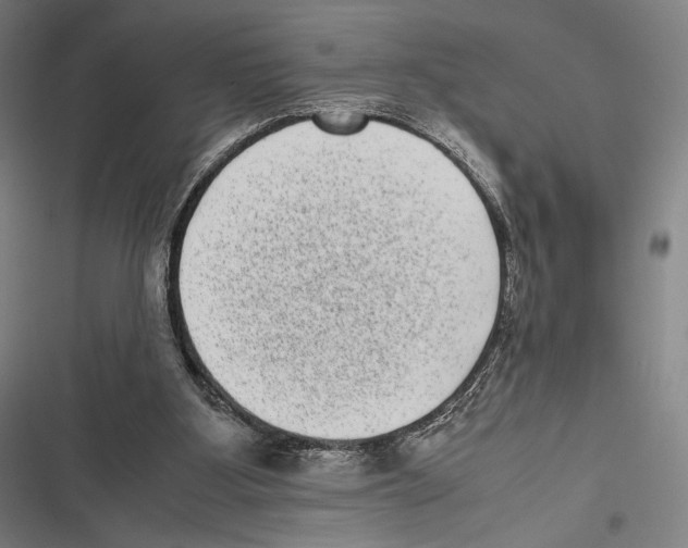 X0000116600107201001081158