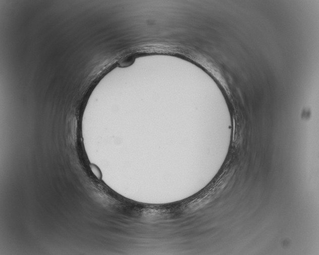 X0000116600109201001081158