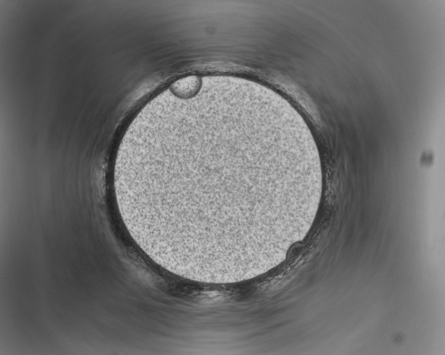 X0000116600111201001081158