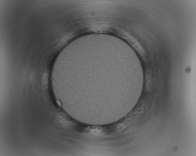 X0000116600113201001081158