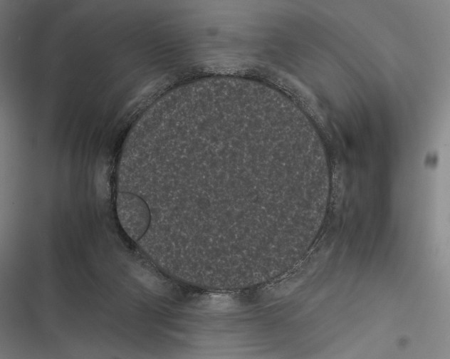 X0000116600114201001081158
