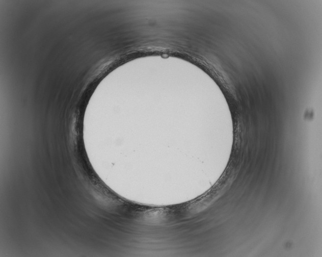 X0000116600116201001081158