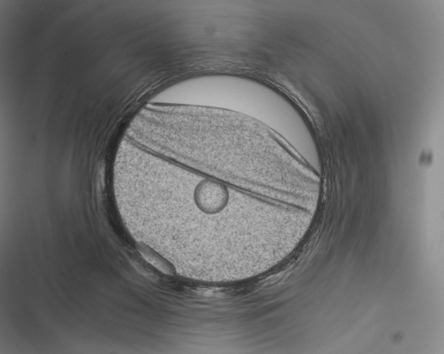 X0000116600117201001081158