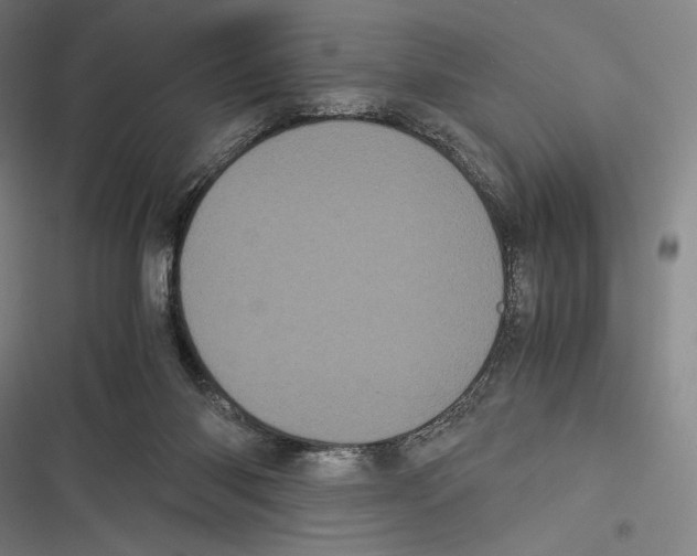 X0000116600118201001081158