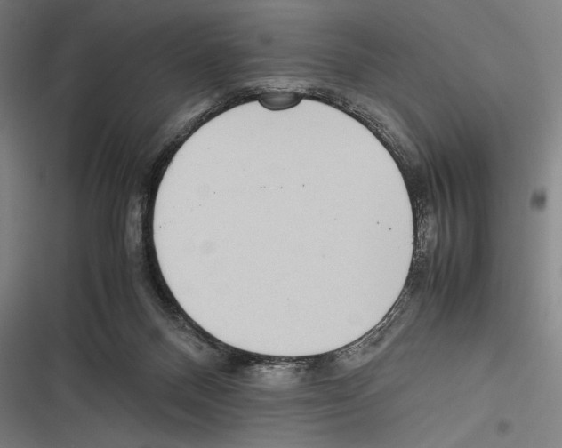 X0000116600120201001081158
