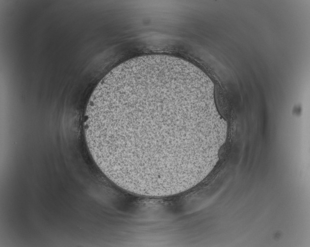 X0000116600121201001081158