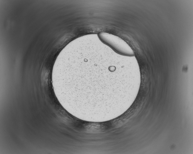 X0000116600123201001081158