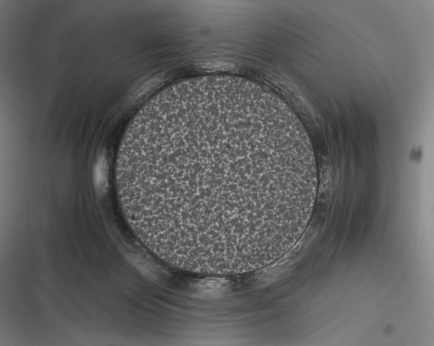 X0000116600124201001081158