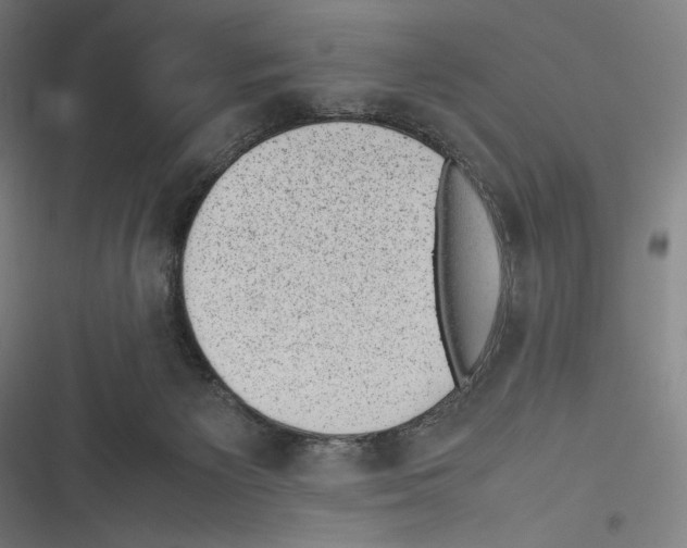 X0000116600125201001081158