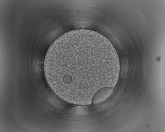 X0000116600126201001081158
