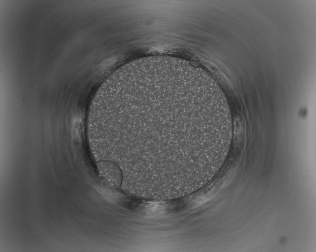 X0000116600127201001081158