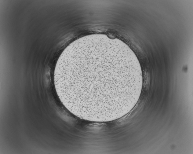 X0000116600128201001081158