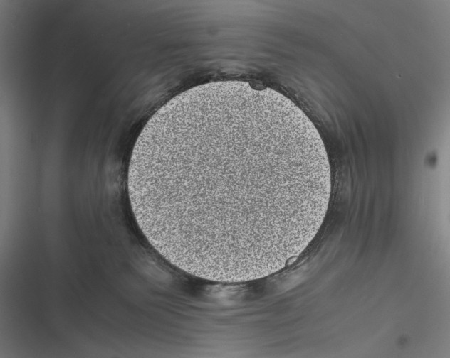 X0000116600135201001081158