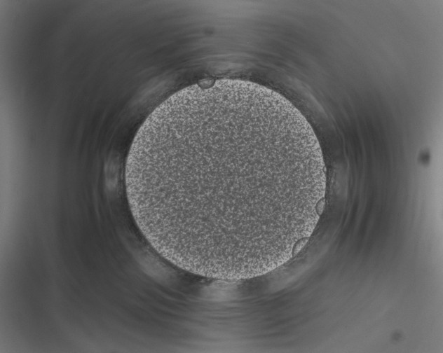 X0000116600138201001081158