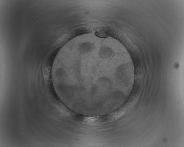 X0000116600139201001081158