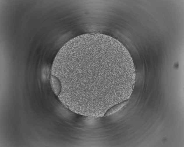 X0000116600142201001081157
