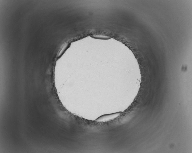 X0000116600144201001081157